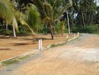 Limited one plot for urgent sale in Horana