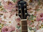 Link Acoustic Guitar