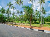 Live 10 Mins from The Airport Land Minuwangoda