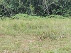 Land for Sale - Godagama