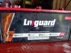 Vehicle Livguard Battery