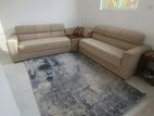 Living Room Carpet