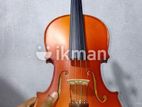 Liza Brand Violin