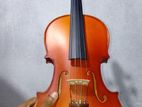 Liza violin