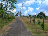 ලක්ෂ 17ට ඉඩමක් හොරණින්