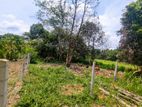 ලක්ෂ 19.50🏡 තිහාරිය වටිනා බිම් කොටසක්