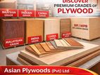 Long Lasting Durable Plywood Boards 8' x 4' 12mm 15mm (No.1 Grade)