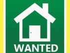 Looking For Rent House or Apartment