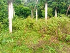 Land for Sale in Trincomalee