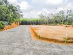 Lot No 02 & 03 for Sale in Panagoda