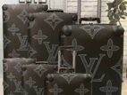 Louis Vuitton Luggage Bags