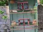 Love Birds and Pigeons Cage