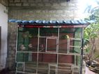 Birds Cage