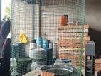 Love Birds Cage