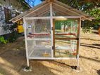 Love Birds Cage