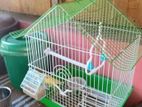 Love Birds With Cage