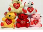 Love Teddy Set