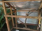 Lovebirds Cage