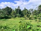 Land for Sale Very Close to Galle