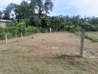 Low price Land for sale in Homagama