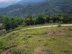 ලස්සන view එකක් තියෙන ඉඩමක් මහනුවරින් විකිණීමට.(වැවරවුමට 4km යි.)