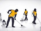 Luana Zone Cleaning Service