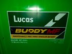 Lucas Battery