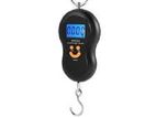 Luggage Scale - 50 Kg- Portable Mango shape
