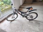 Lumala 10 Speed Bicycle