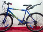 Lumala Active Bicycle