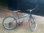 Lumala Mountain Bike