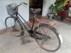 Lumala Bicycle , Cycle