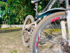 Lumala Black Edition Bicycle