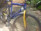 Lumala Mountain Bicycle