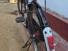 Lumala Cycle