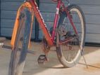 Lumala Bicycle