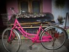 lumala ledis cable cycle