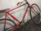 Lumala Road Cycle