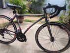 Lumala Roadster Bike