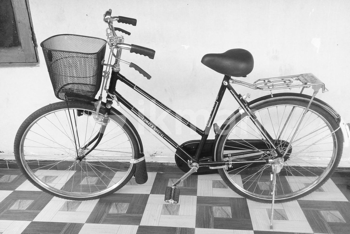 Lumala Bicycle Lady Bicycle For Sale Lumala Special Ladies Bike