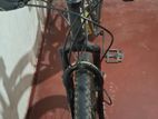 Lumala Typhoon Mountain Bicycle