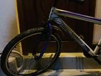 Lumastar Bicycle
