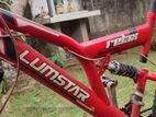 Lumstar Bicycle