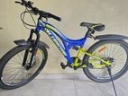 Lumstar bicycle (26inch)