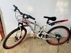 Lumstar Bicycle