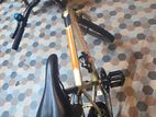 Lumstar bike