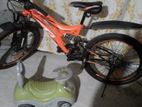 Lumstar Mountain Bicycle