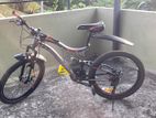 Lumstar Mountain Bicycle