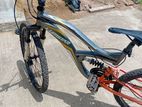 Lumster bike for salle