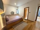 Luxurious Fully Furnished Apartment Colombo 4 only Locald No Foreignerss